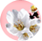 ���� ����